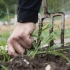 Kako se trajno riješiti trave na groblju